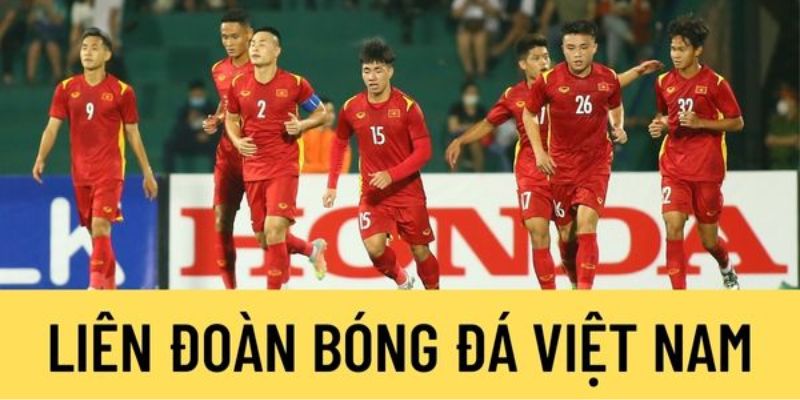 Danh sách cập nhật liên đoàn cả nước thuộc VFF hiện nay 