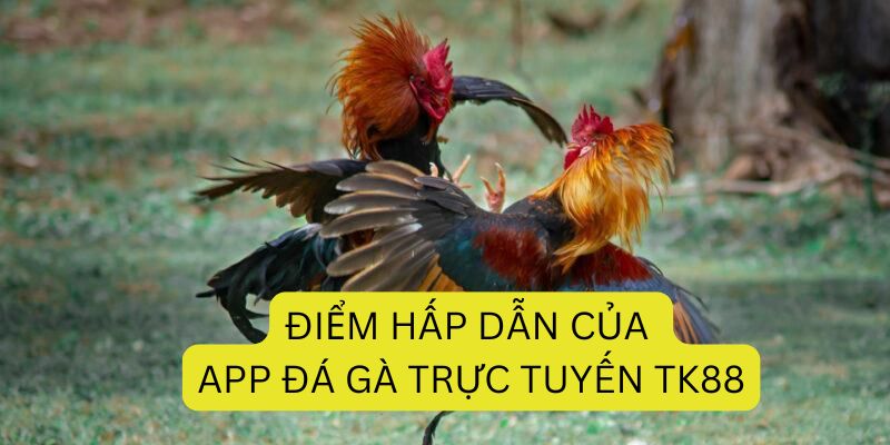 Khá nhiều điểm hấp dẫn khi dùng ứng dụng TK88